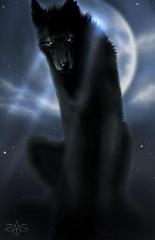 shadowthewolf