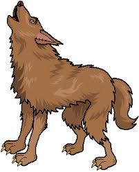 m3wolfdog m3wolfdog