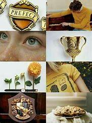 Star if you are a Hufflepuff