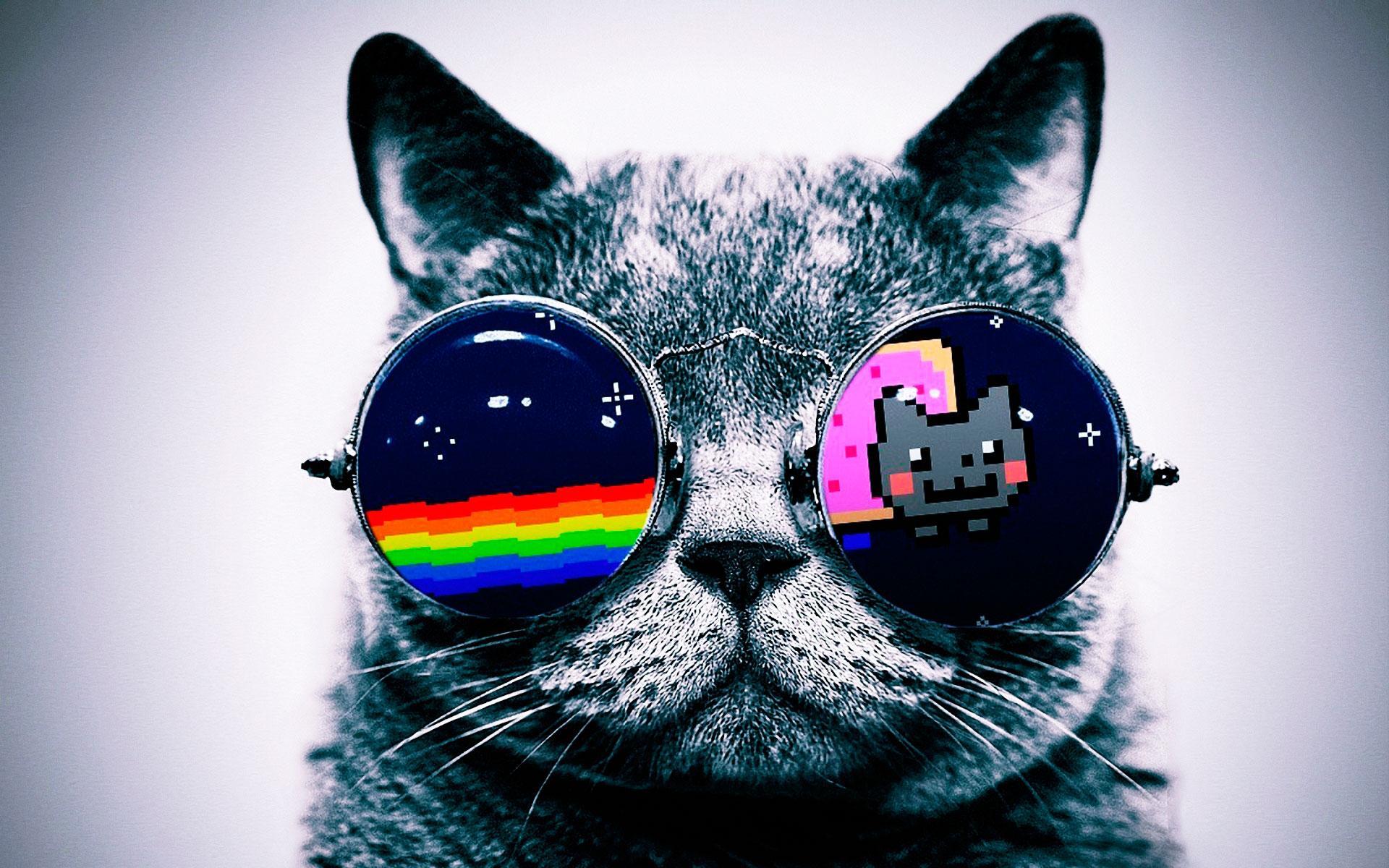 unicornsaremajestic unicornsaremajestic