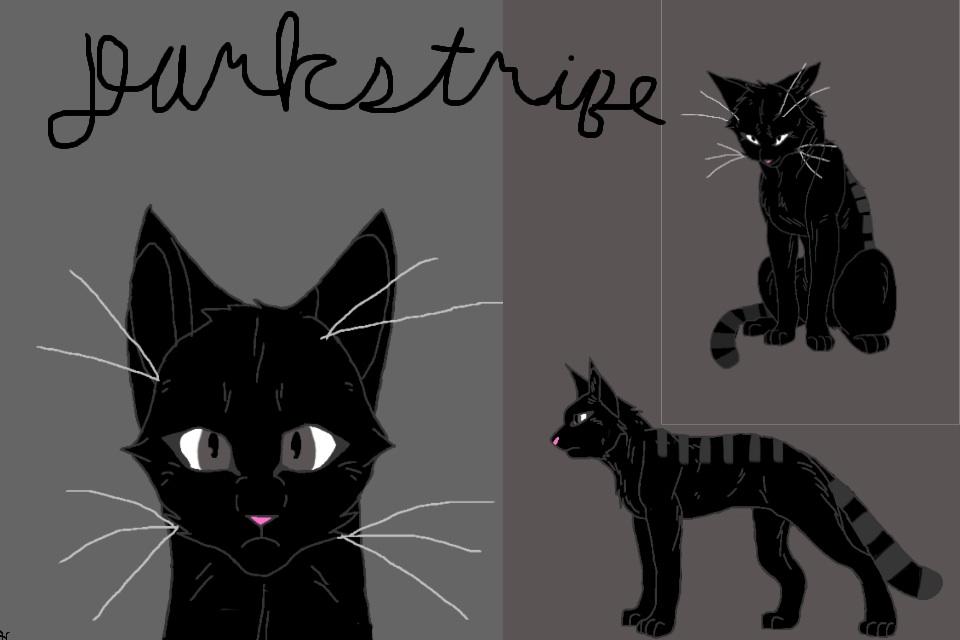 Blackstripe Blackstripe