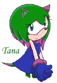 This is Tana the Hedgehog. My second fan character.