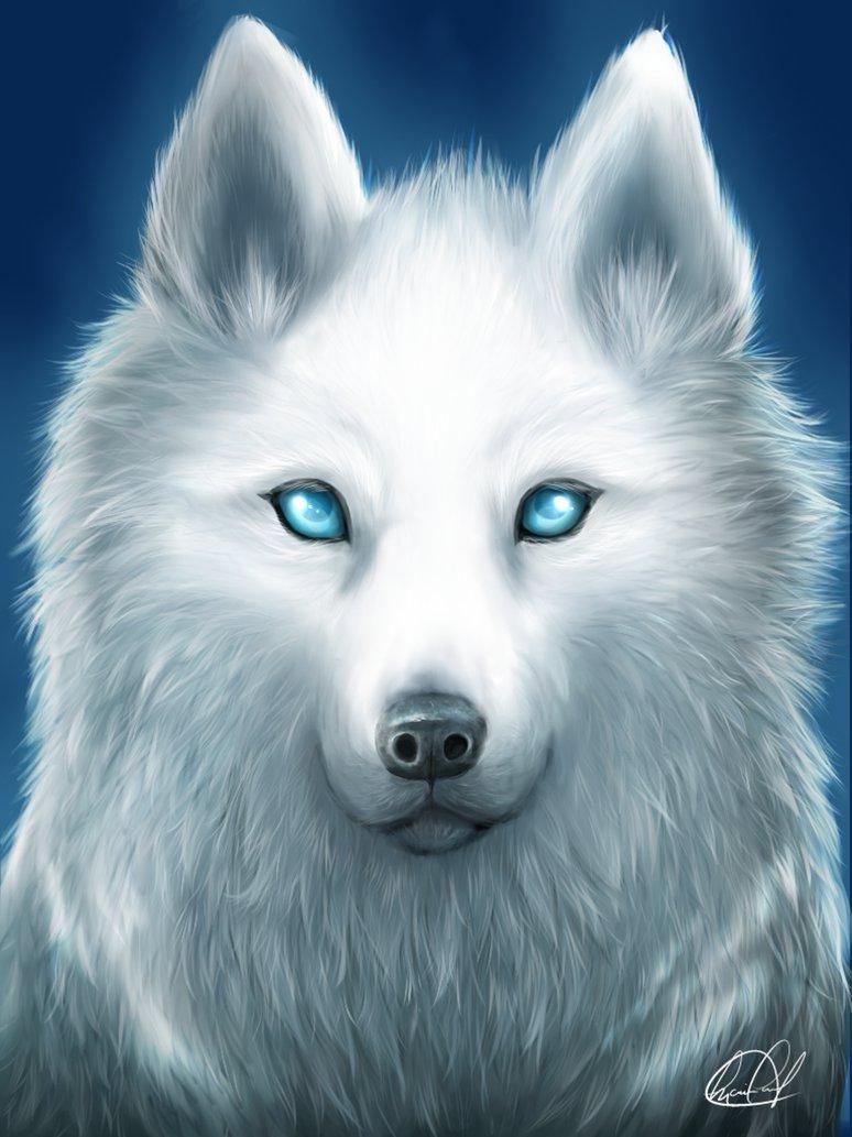 Spirit_Wolf Spirit_Wolf