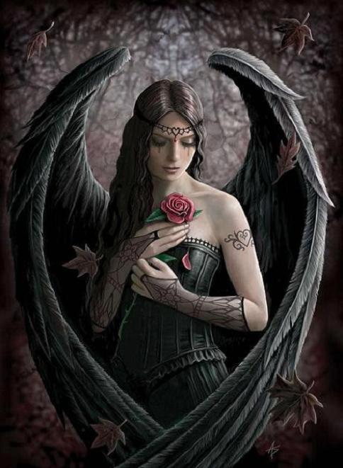 xDarkAngelx xDarkAngelx