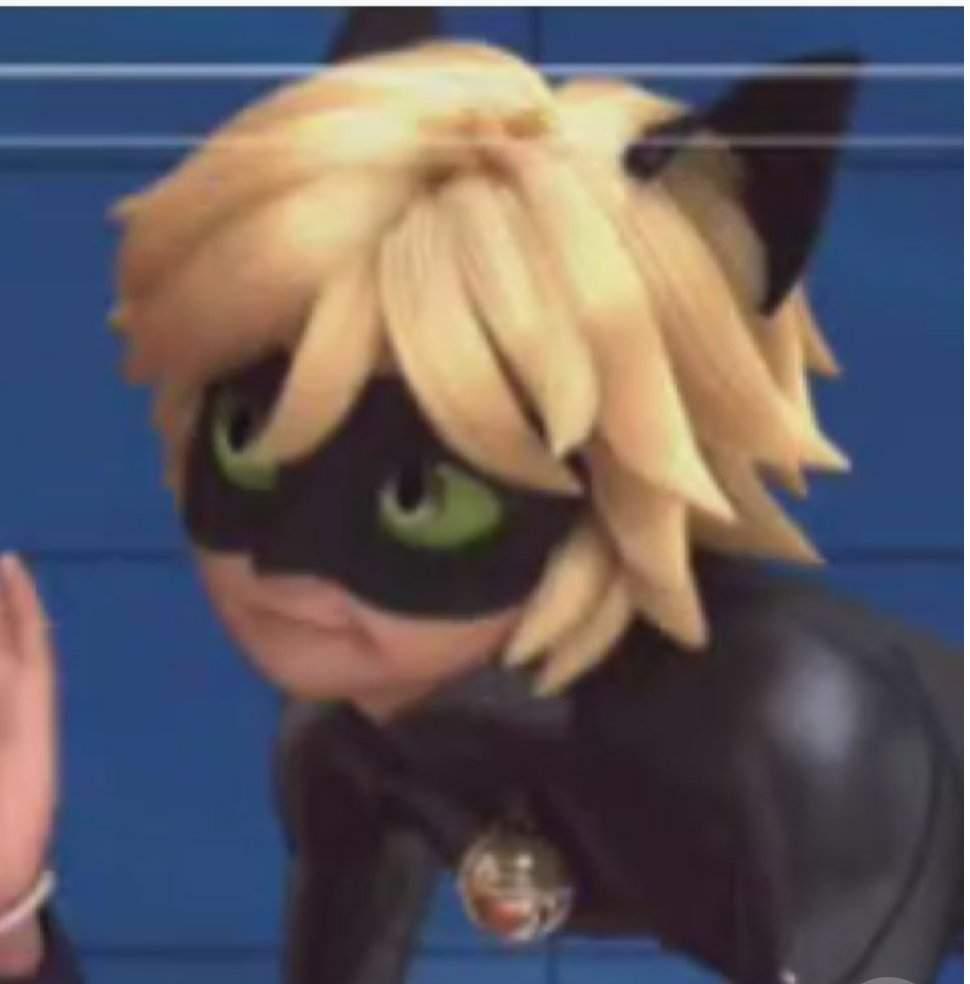 Stop_The_Derpabuse Stop_The_Derpabuse