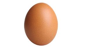 Can we make this image get more stars than NetherWorks's egg?