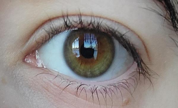My eye colour (brown from afar)
