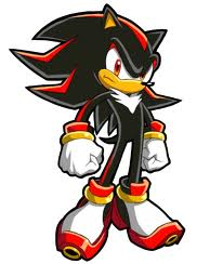 shadowhehedgehog5995