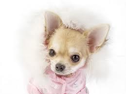 sadie8111 sadie8111
