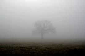 Shrouded_in_Mist Shrouded_in_Mist
