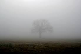 Shrouded_in_Mist