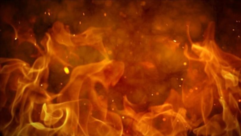 Firey_the_human Firey_the_human