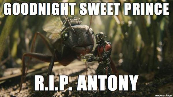 Gonna miss this ant... ? ant man feels!