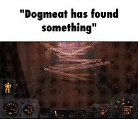 dogmeat HOW IN THE F*CK DID YOU GET PAST THIS??!?!?!??!!