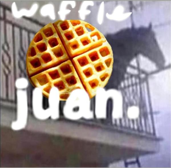 For ZEROE waffle juan