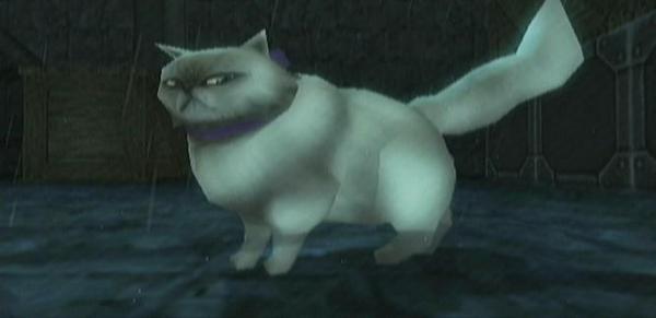 Am I the only one who thought the cat in Twilight Princess was grumpy cat?