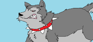 Wolfie with spike collar