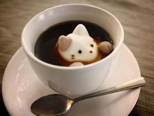 Marshmallow Kitty :3