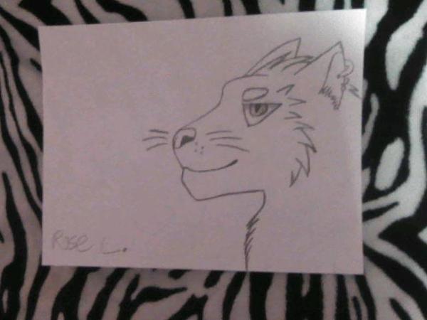 i drew a wild cat :3 [plz rate] [also why dafuq did i have a flashlight-_-]
