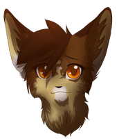 foxyladyjet foxyladyjet