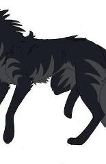luckythealphawolf