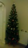 My Christmas tree! ?