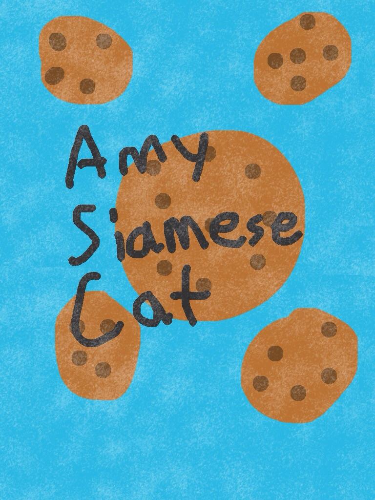 AmySiamesecat