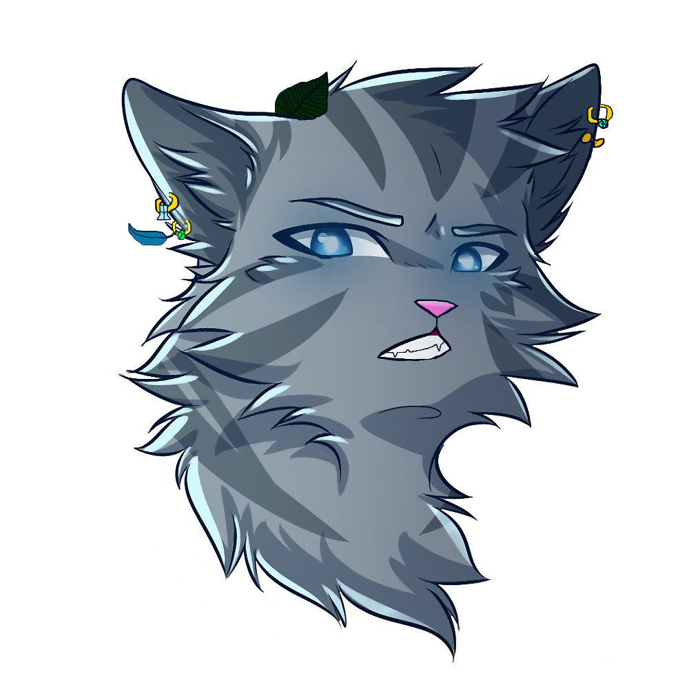 TheonlyJayfeather