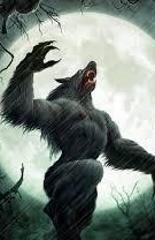 werewolfrules