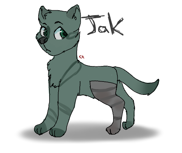 Christmas Gift for @Heart_Of_The_Wolf-"Jak"
