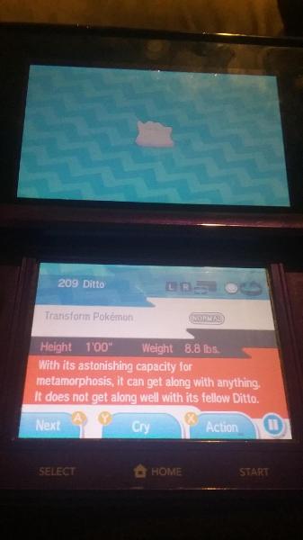 I JUST CAUGHT A DITTO I AM FLIPDANG EXCITED