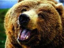 I'm One Happy Bear!!!