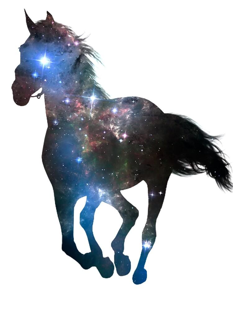 Horsesxvolleyball Horsesxvolleyball