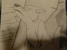 A WIP Photo of a howling Wolf.