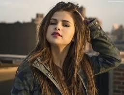 collielover123 collielover123