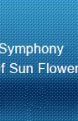 symphonyofsunflowers