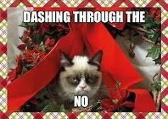 how i feel about the holidays before december