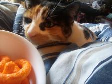 SHE'S GOING FOR THE CHEETOS-