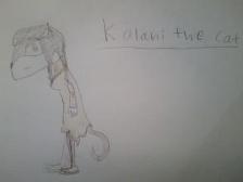 Kalani the cat