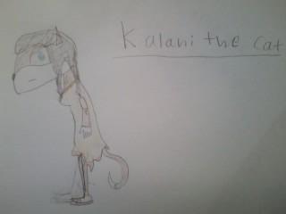 Kalani the cat