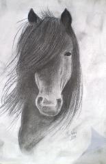 Horselover124