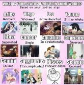 What are you in anime world?