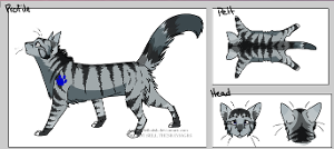 One of my new OC's for Warrior Cats