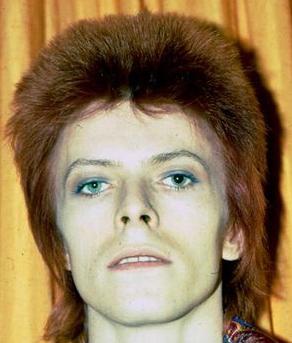 davidbowiespisstoaster