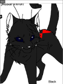 Black Widow cat sold to @PrincessLuna1