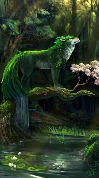 wolflover78 wolflover78