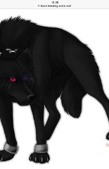Death_Shadow_the_loner_wolf