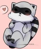 star this photo of a cute lil racoon