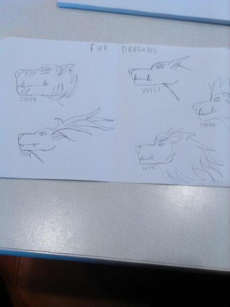 Fur dragons
