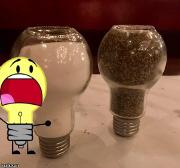 Who knew Lightbulb's cousins were salt and pepper?